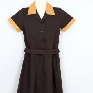 PLT/CNTRS SCHOOL DRESS TG1 BRN/GOLD